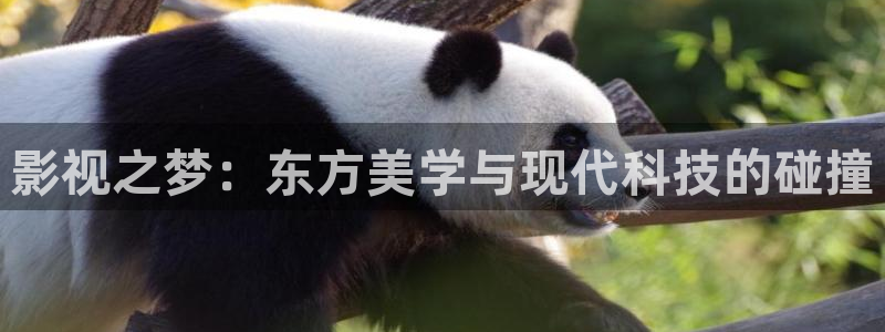 好好看影院：影视之梦：东方美学与现代科技的碰撞