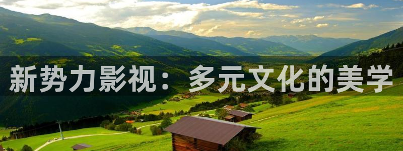 好看影院大全：新势力影视：多元文化的美学