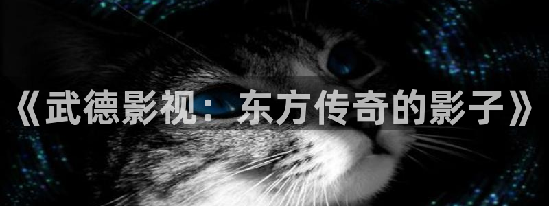 好看影院在线观看电影：《武德影视：东方传奇的影子》