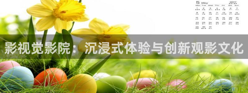 好好看影院：影视觉影院：沉浸式体验与创新观影文化
