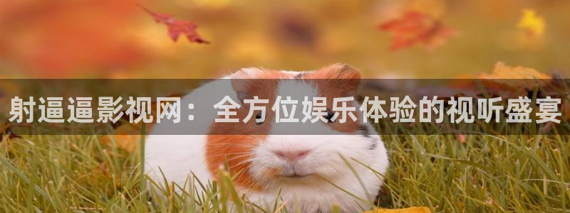 好看影院：射逼逼影视网：全方位娱乐体验的视听盛宴