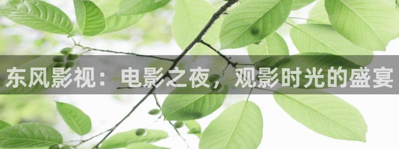 好好看影院：东风影视：电影之夜，观影时光的盛宴