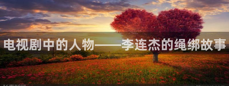 好看影院：电视剧中的人物——李连杰的绳绑故事